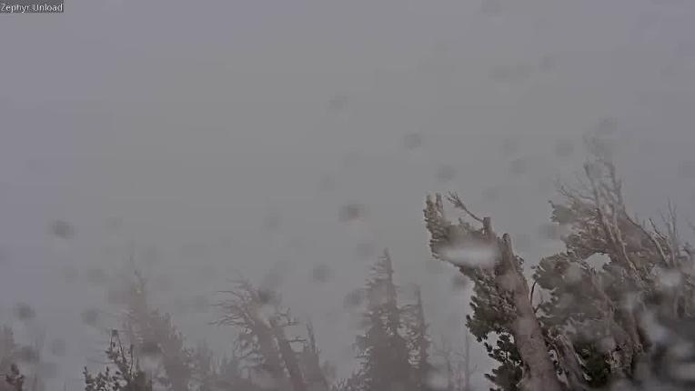 Webcam Mount Rose: North View