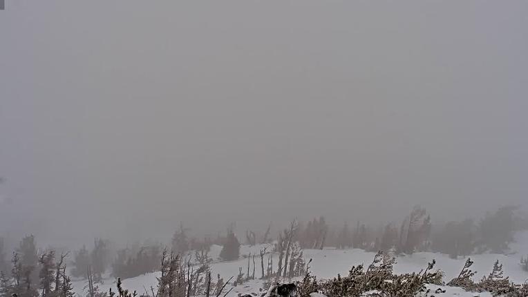Webcam Mount Rose: North View