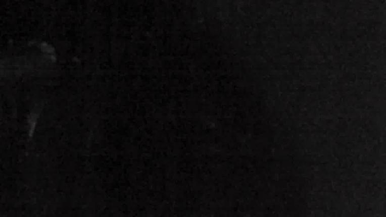 Webcam Mount Rose: North View