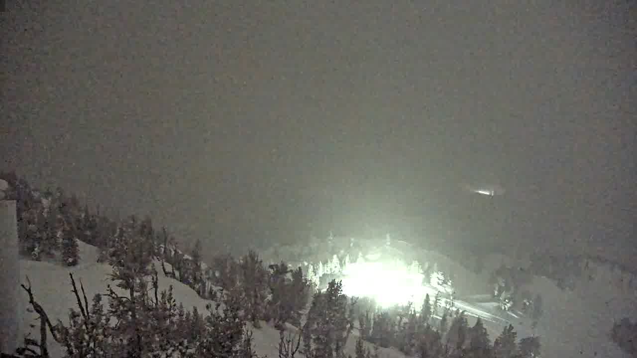 Webcam Mount Rose: North View