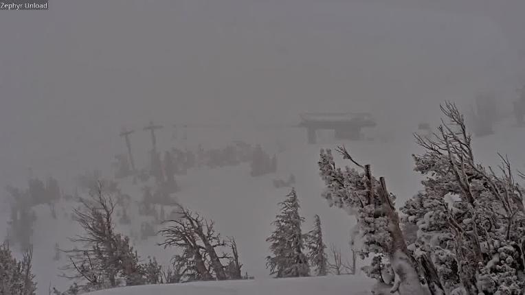 Webcam Mount Rose: North View