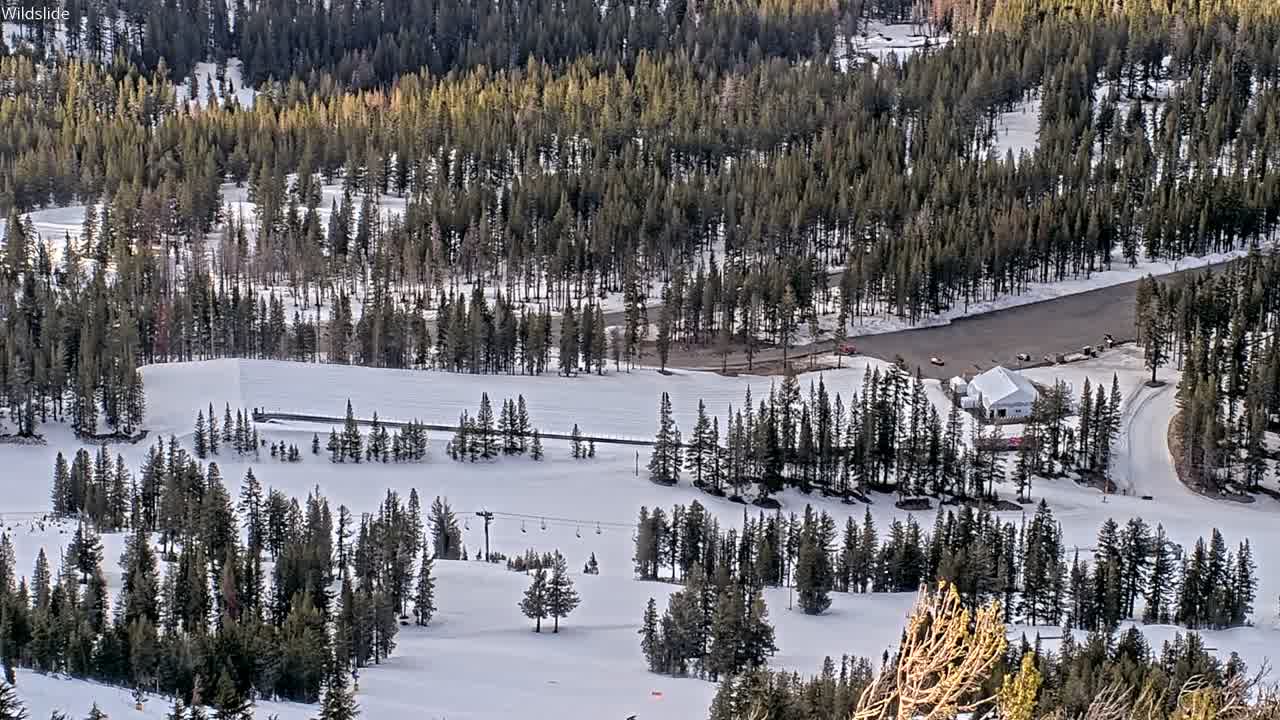 Webcam Mount Rose: North View