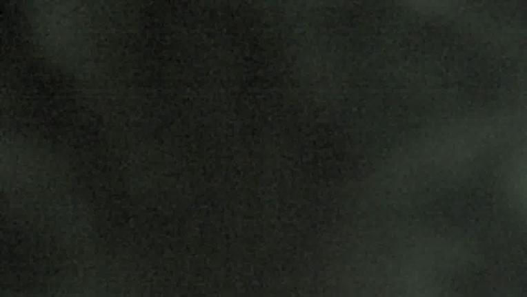 Webcam Mount Rose: North View