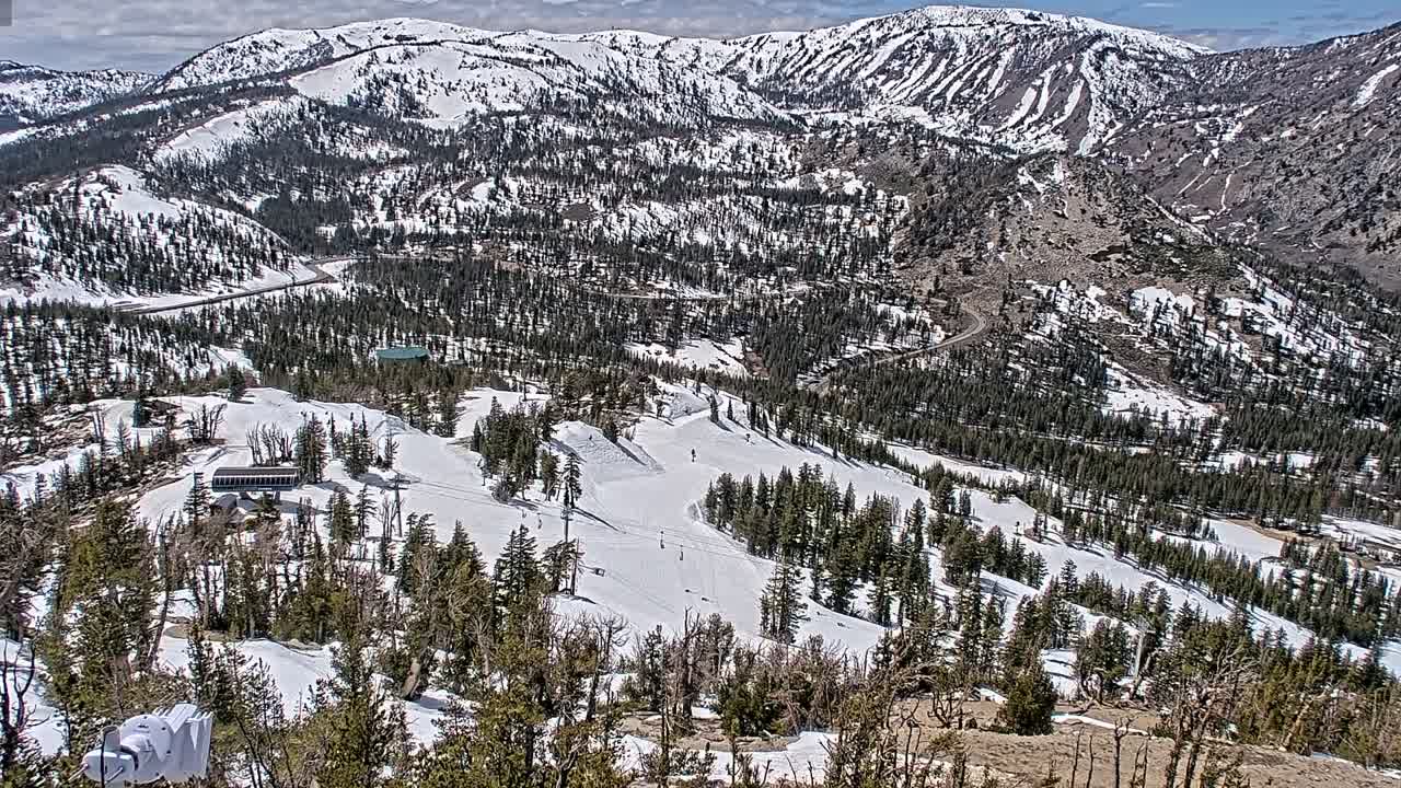 Webcam Mount Rose: North View