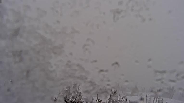 Webcam Mount Rose: North View