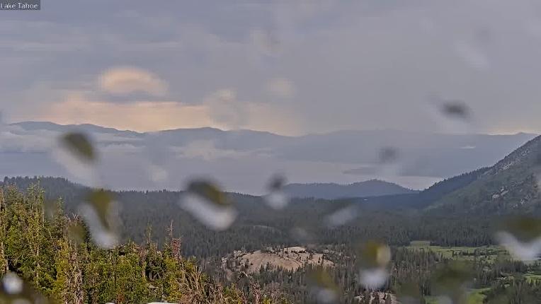 Webcam Mount Rose: North View