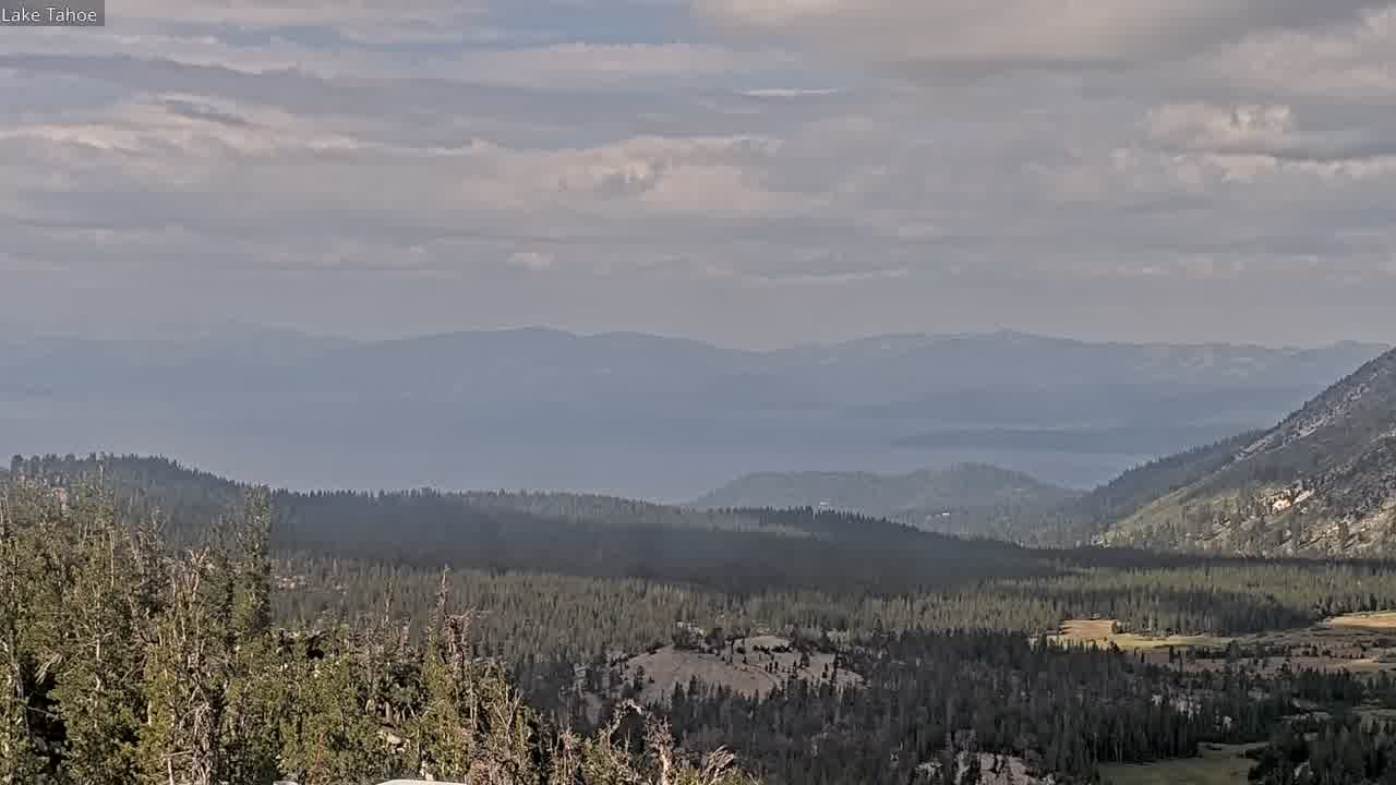 Webcam Mount Rose: North View