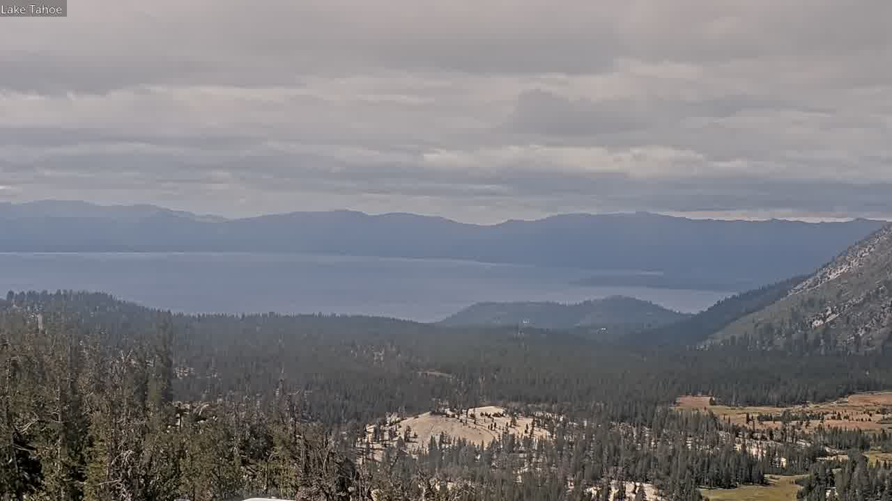 Webcam Mount Rose: North View