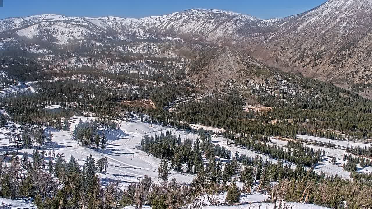 Webcam Mount Rose: North View