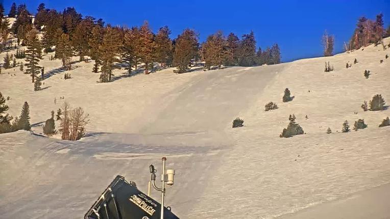 Webcam Mount Rose: Slide Bowl