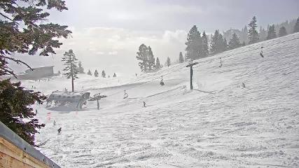 Mount Rose webcam