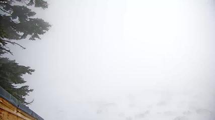Mount Rose webcam