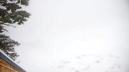 Mount Rose: Slide Bowl (skirose.com)