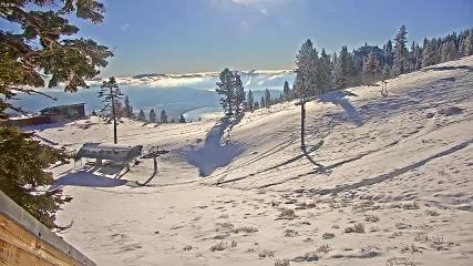 Mount Rose: Slide Bowl (skirose.com)