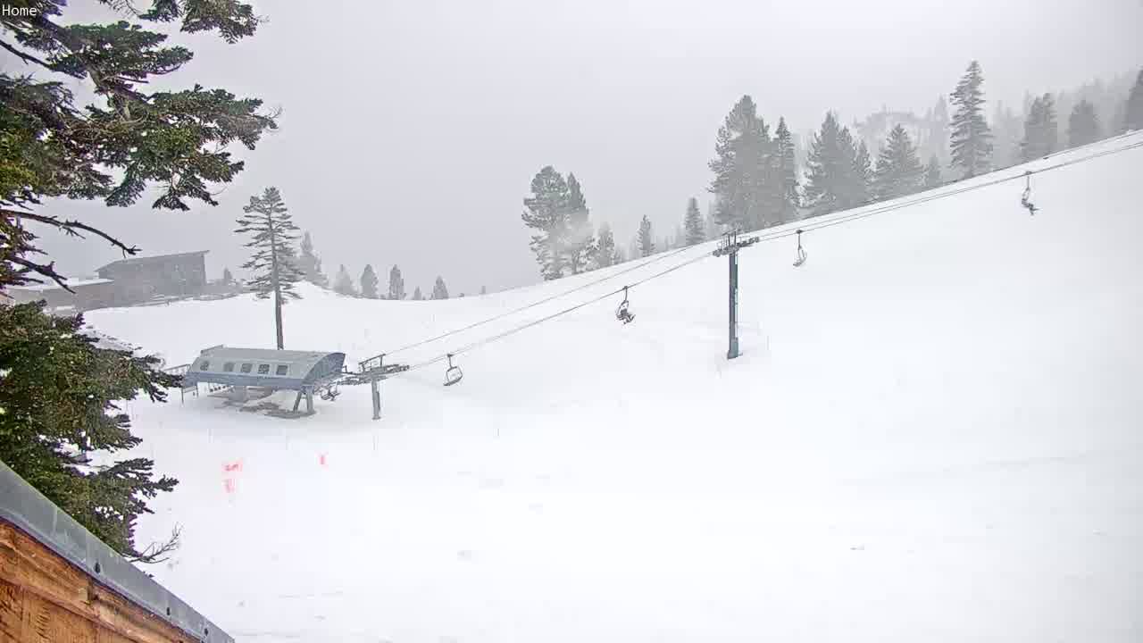 Webcam Mount Rose: Slide Bowl