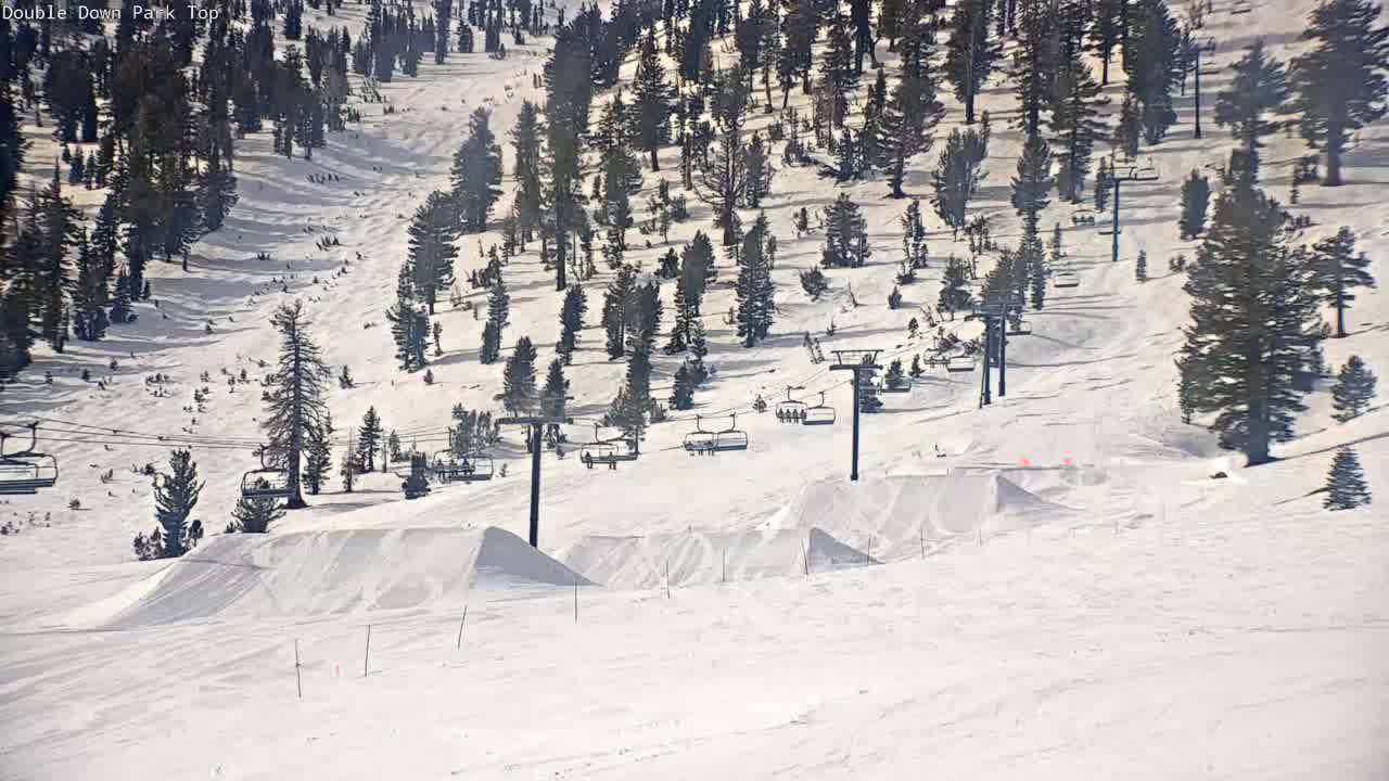 Webcam Mount Rose: Slide Bowl