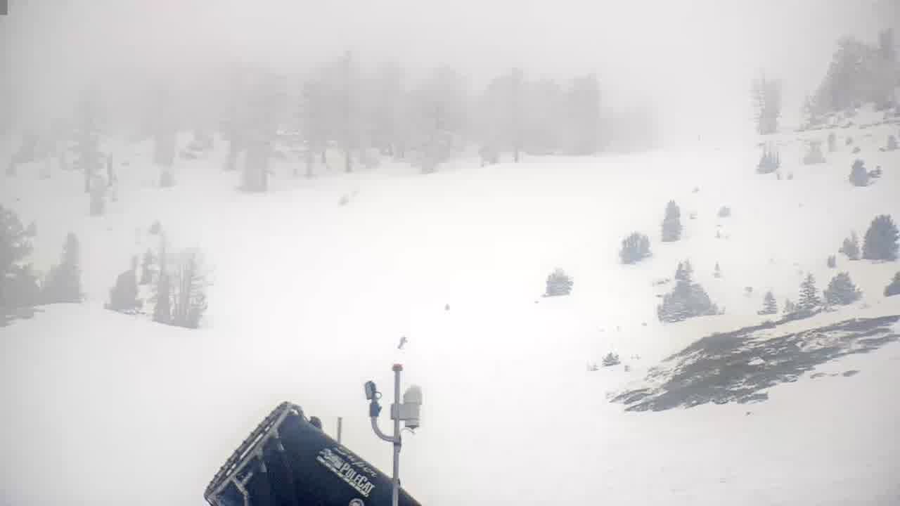 Webcam Mount Rose: Slide Bowl