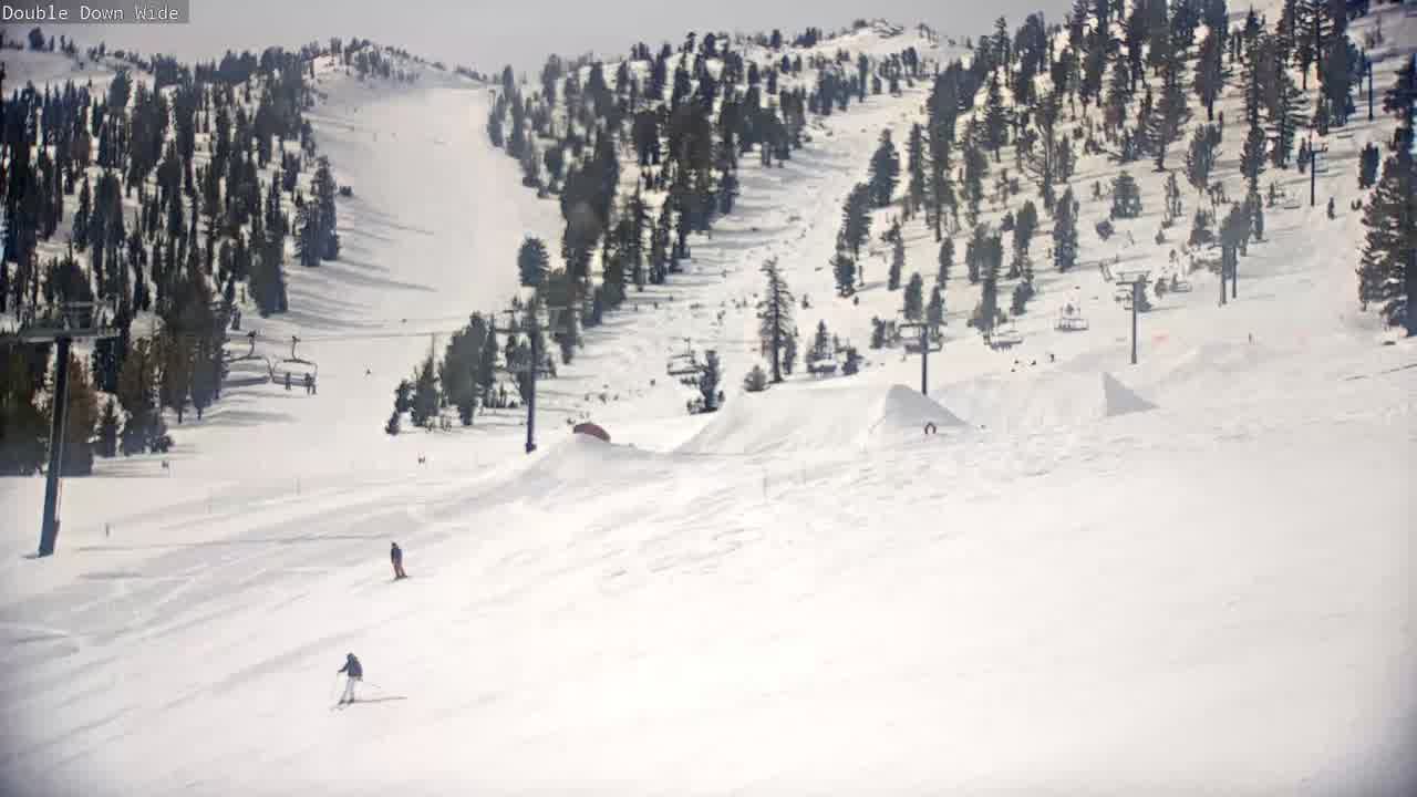 Webcam Mount Rose: Slide Bowl