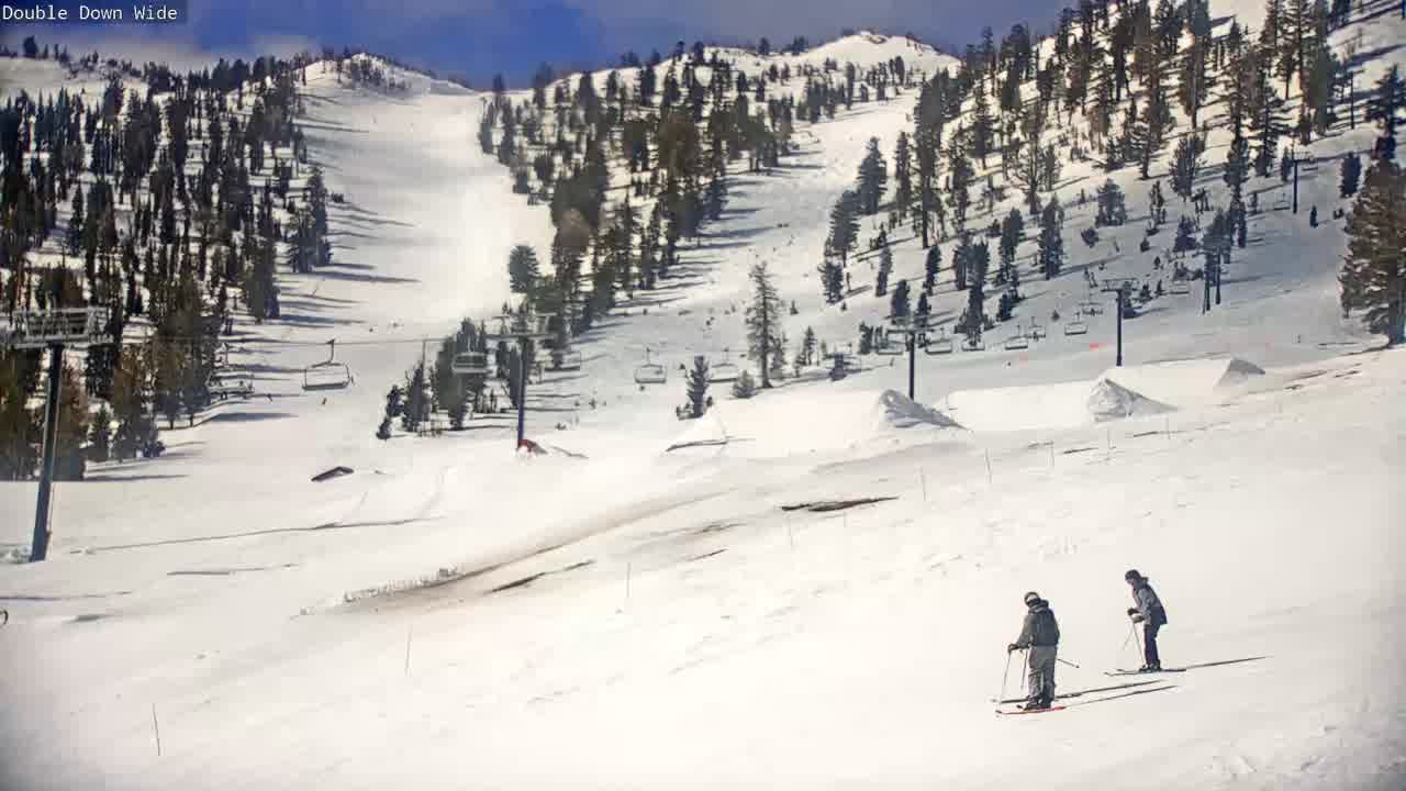 Webcam Mount Rose: Slide Bowl