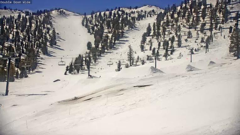 Webcam Mount Rose: Slide Bowl