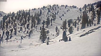 Mount Rose: Slide Bowl (skirose.com)