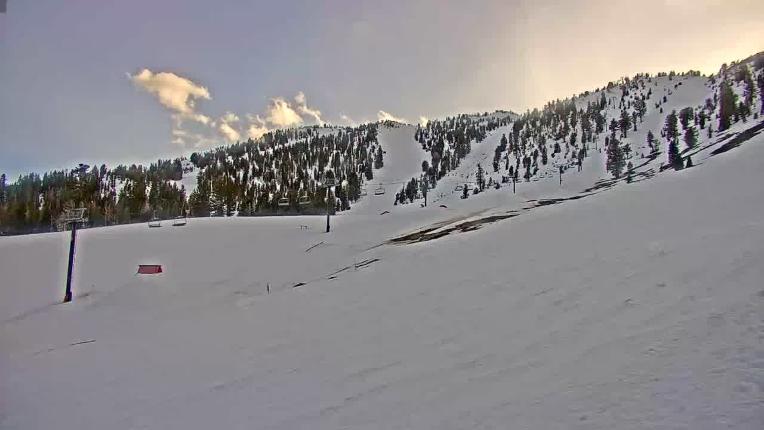 Webcam Mount Rose: Slide Bowl