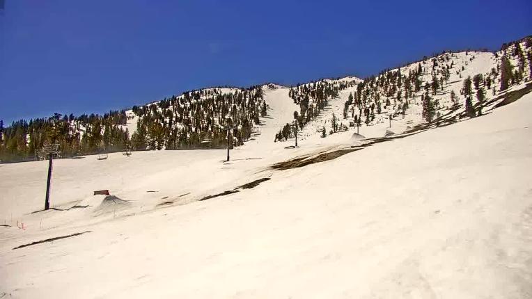 Webcam Mount Rose: Slide Bowl