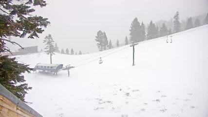Mount Rose: Slide Bowl (skirose.com)