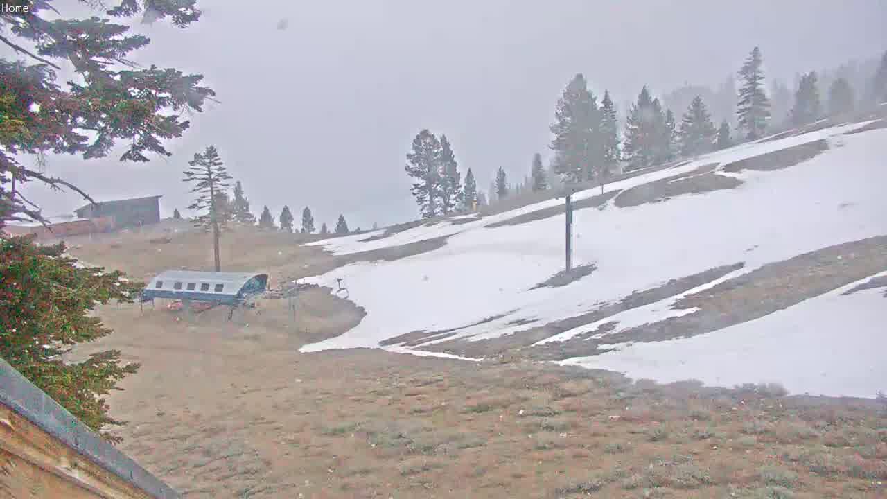 Webcam Mount Rose: Slide Bowl