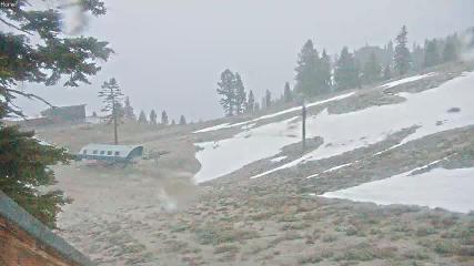Mount Rose: Slide Bowl (skirose.com)