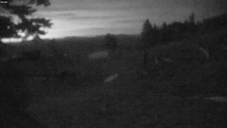 Webcam Mount Rose: Slide Bowl