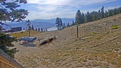 Mount Rose: Slide Bowl (skirose.com)