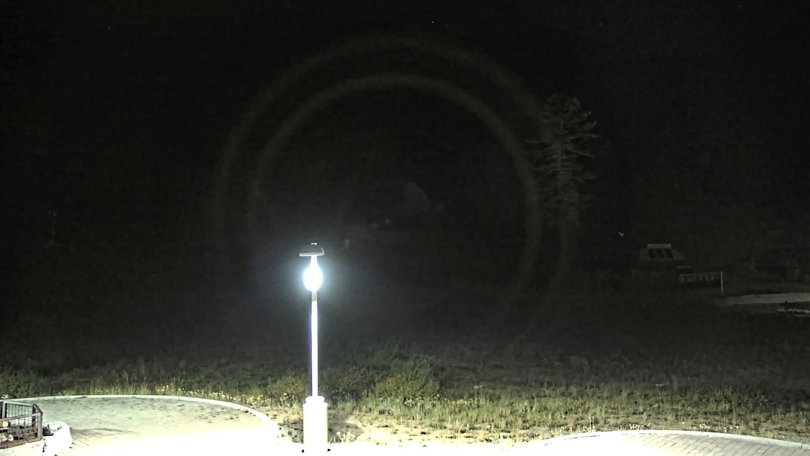 Webcam Mount Rose: Winters Creek Lodge
