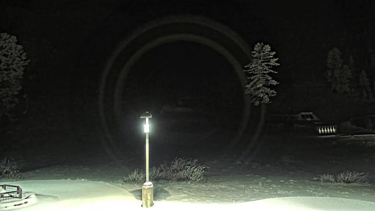 Webcam Mount Rose: Winters Creek Lodge