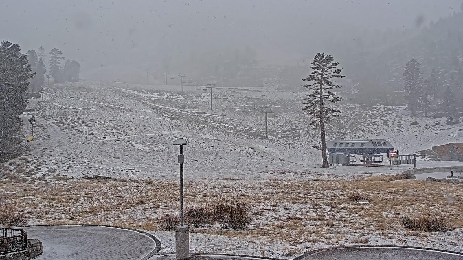 Webcam Mount Rose: Winters Creek Lodge