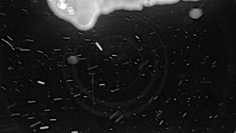 Webcam Mount Rose: Winters Creek Lodge