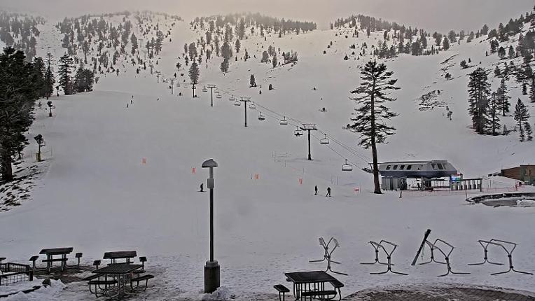 Webcam Mount Rose: Winters Creek Lodge