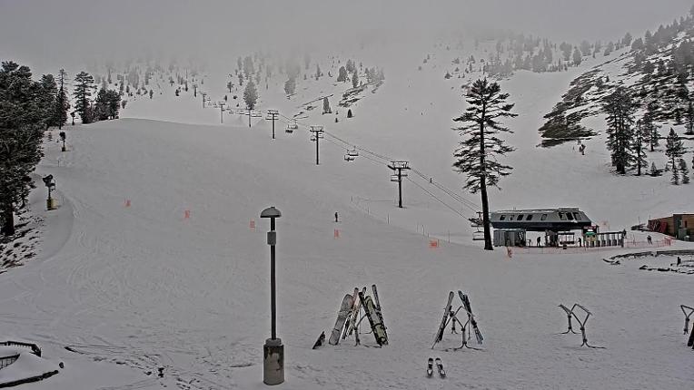 Webcam Mount Rose: Winters Creek Lodge