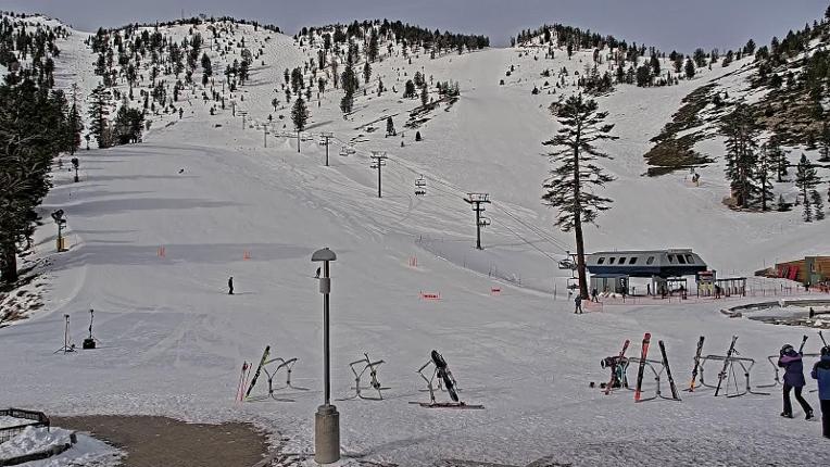 Webcam Mount Rose: Winters Creek Lodge