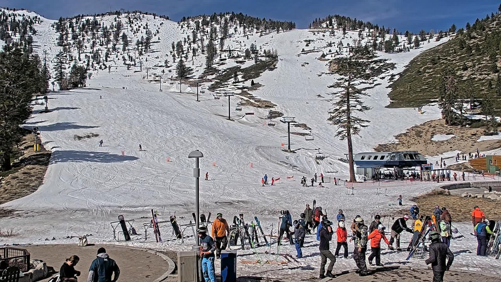 Webcam Mount Rose: Winters Creek Lodge