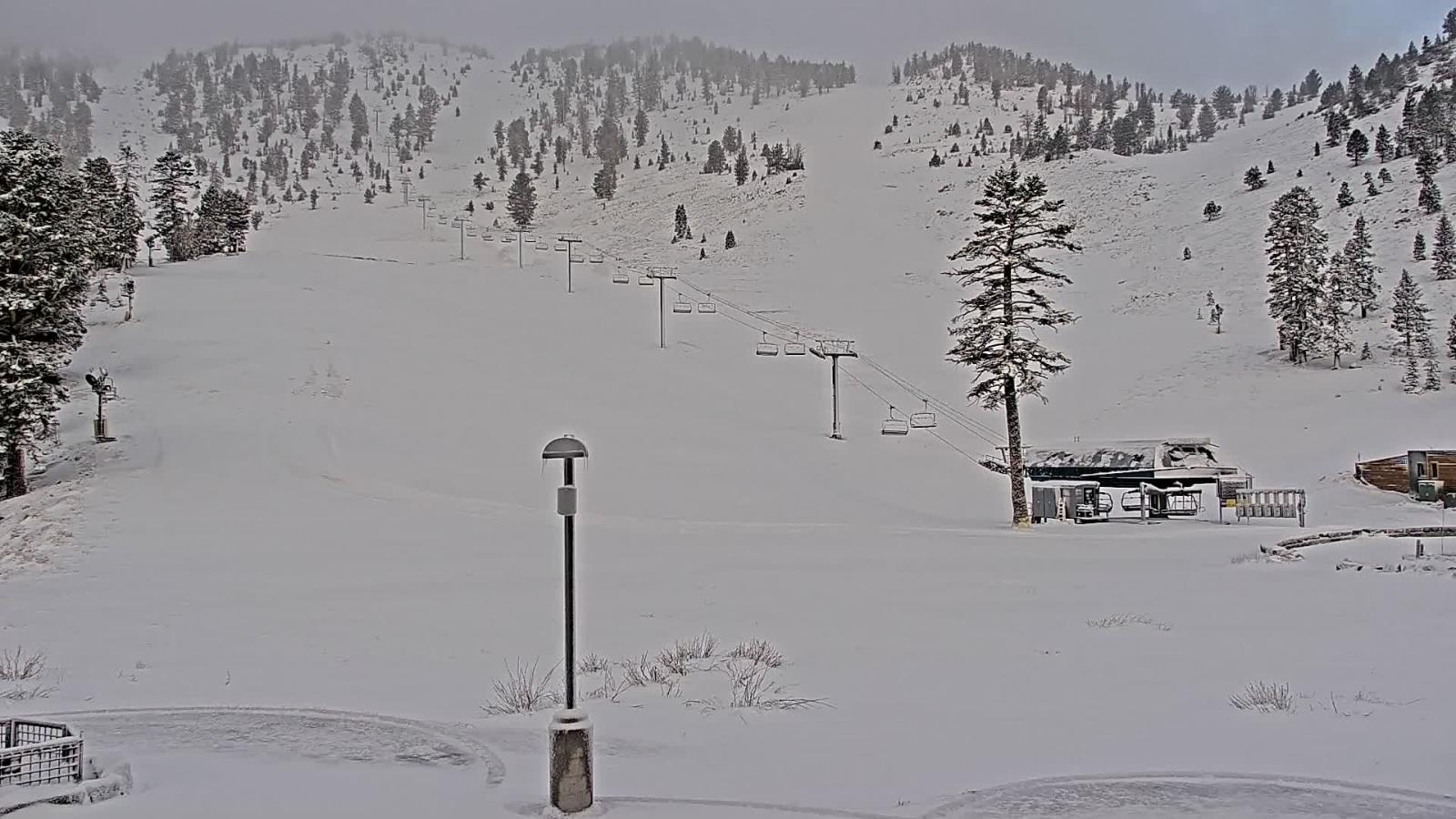 Webcam Mount Rose: Winters Creek Lodge