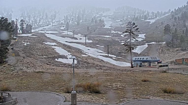 Webcam Mount Rose: Winters Creek Lodge