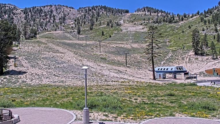 Webcam Mount Rose: Winters Creek Lodge