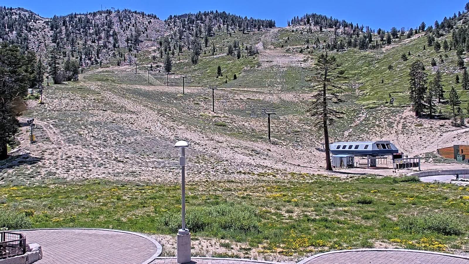Webcam Mount Rose: Winters Creek Lodge