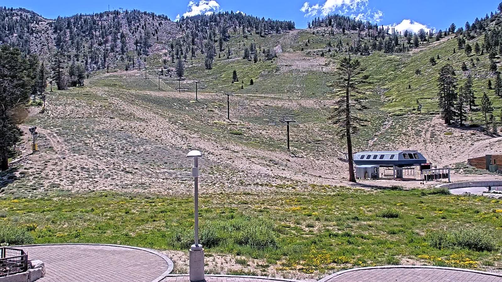 Webcam Mount Rose: Winters Creek Lodge
