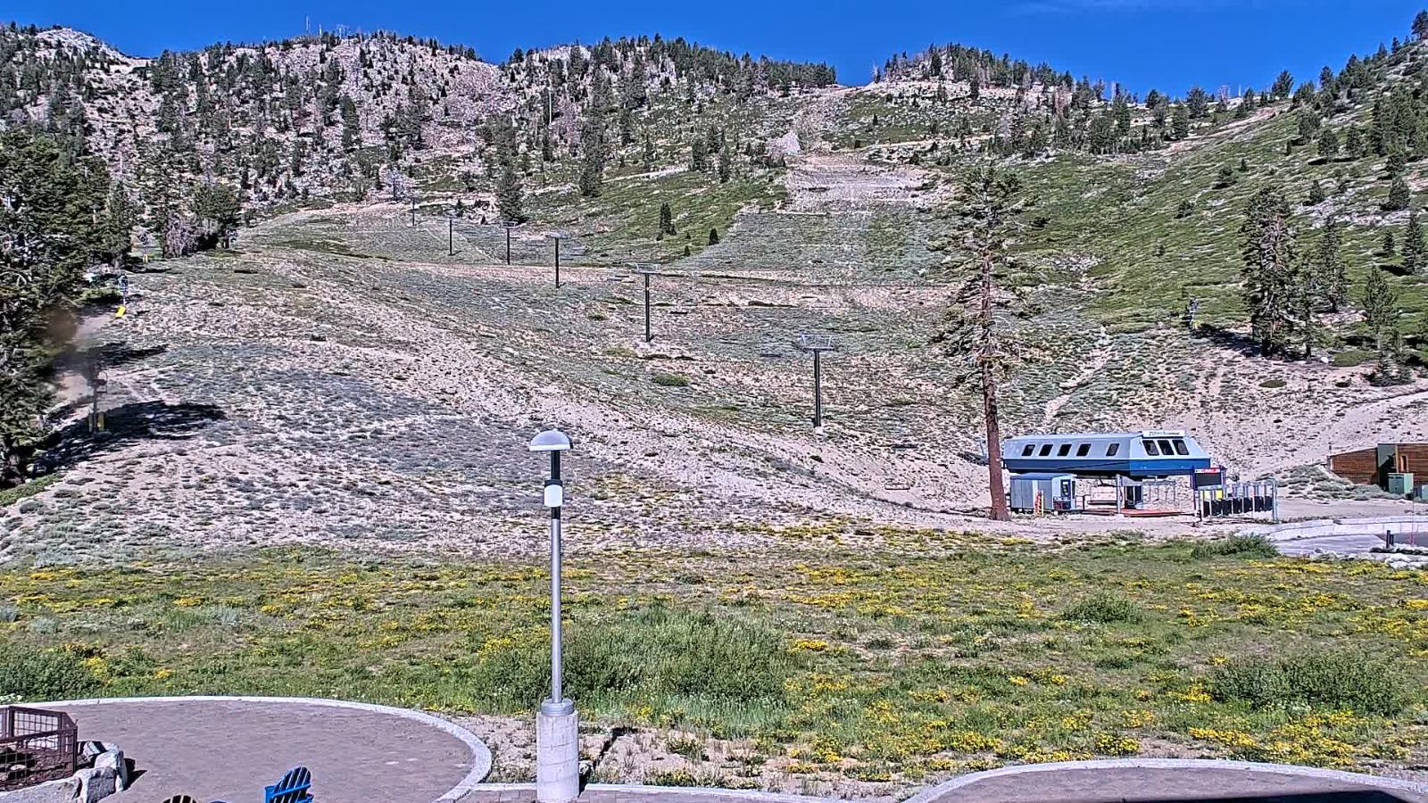 Webcam Mount Rose: Winters Creek Lodge