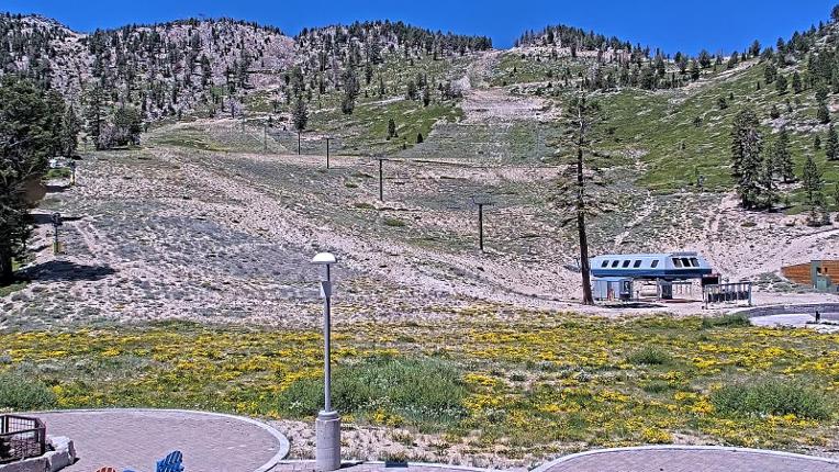 Webcam Mount Rose: Winters Creek Lodge