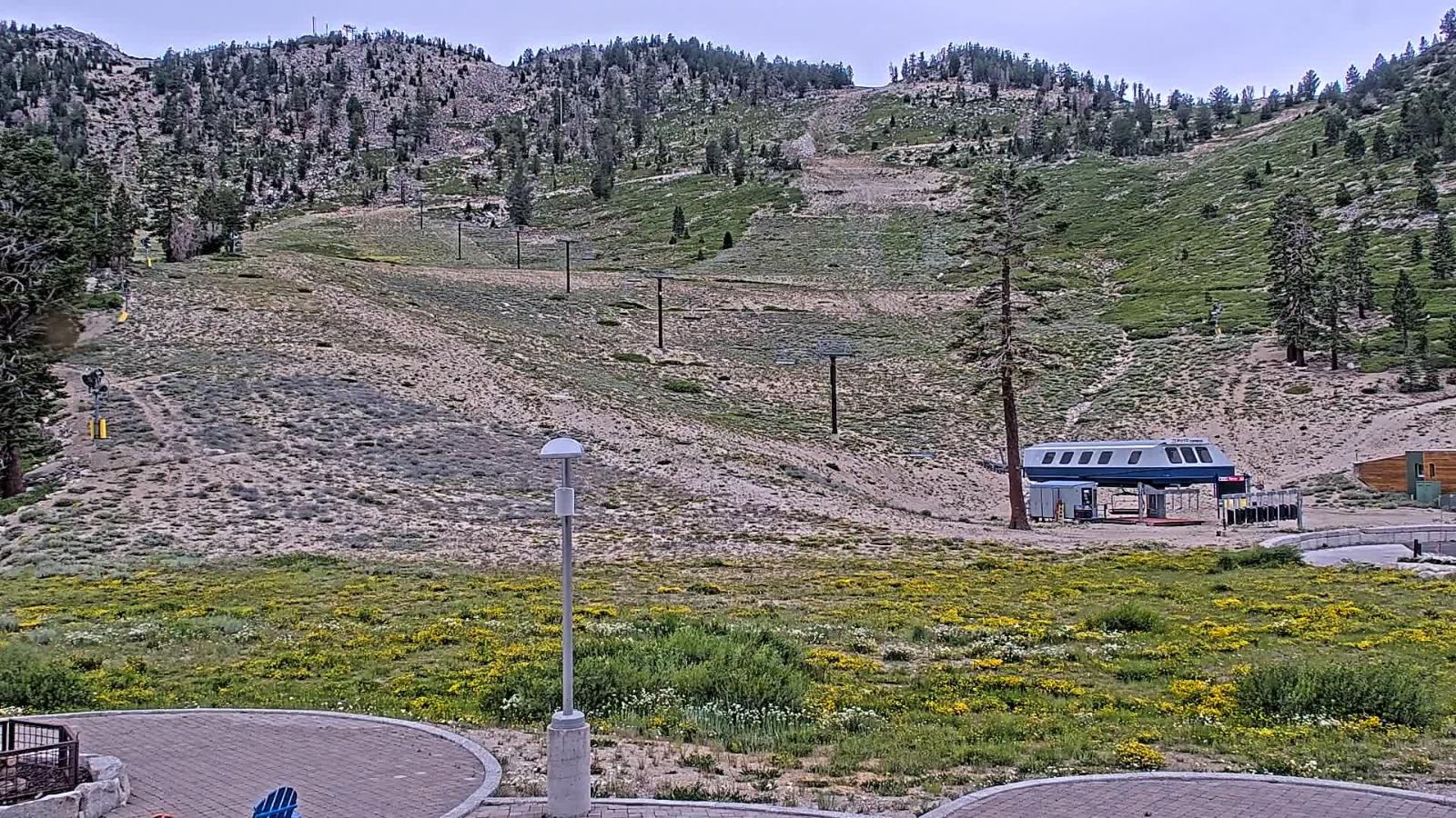 Webcam Mount Rose: Winters Creek Lodge