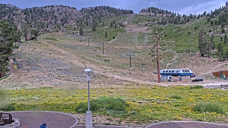 Webcam Mount Rose: Winters Creek Lodge