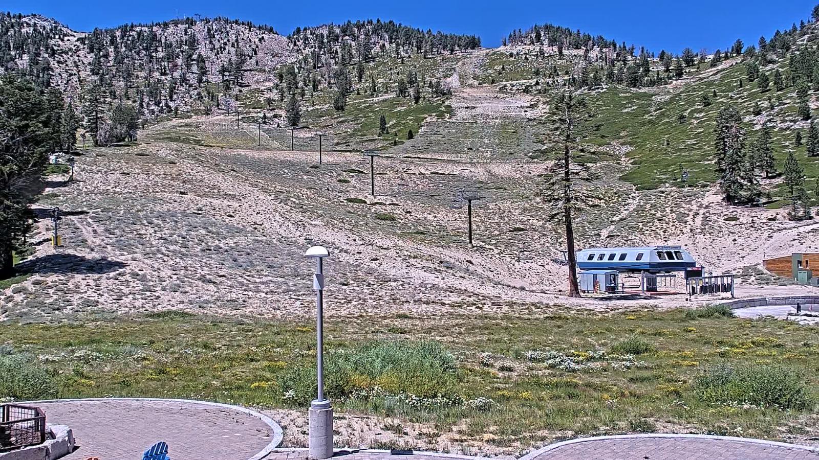 Webcam Mount Rose: Winters Creek Lodge